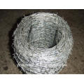 Hot Sale! hot dipped galvanized weight of barbed wire price per roll